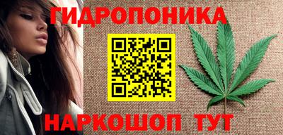 дживик Лесосибирск