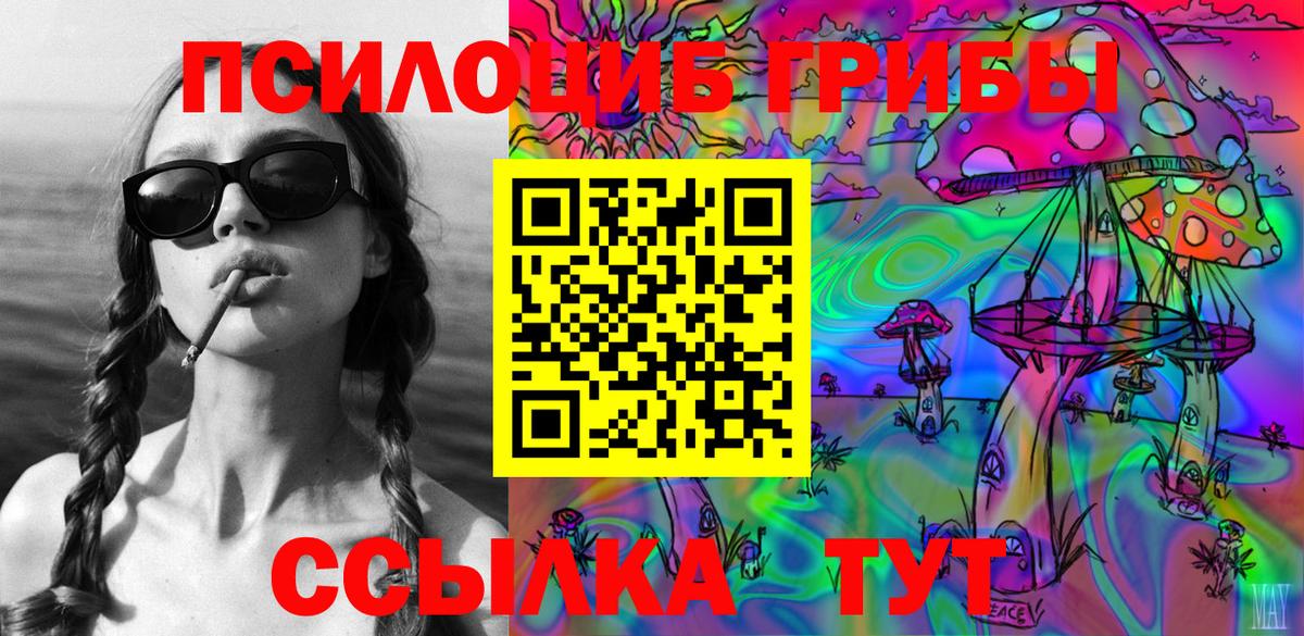 Зеленогорск  Галлюциногенные грибы мухоморы  Вход с VPN 