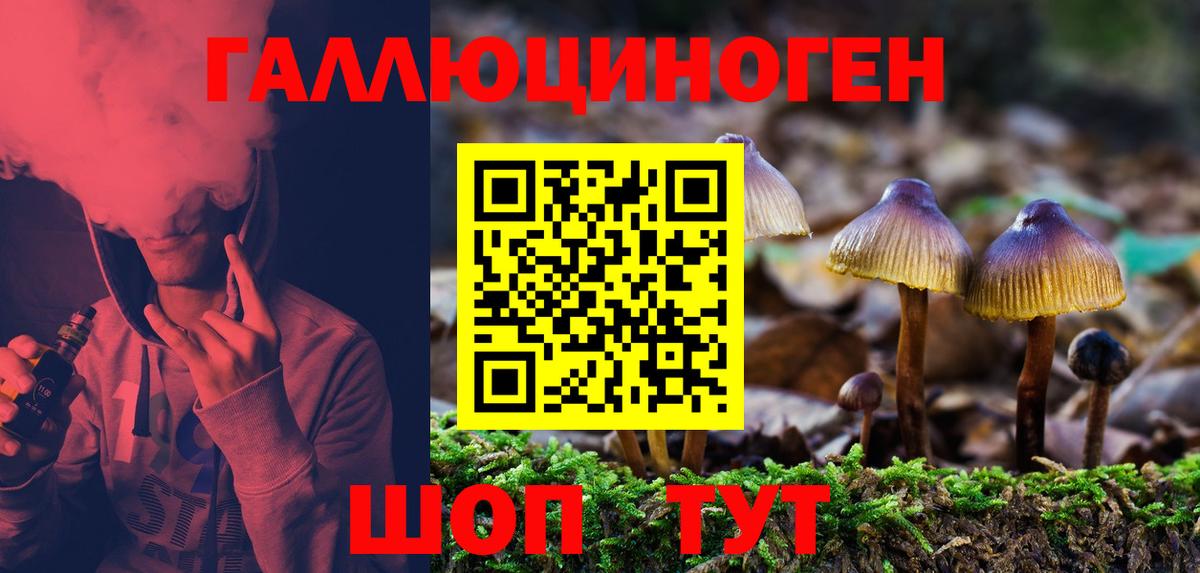 Псилоцибиновые грибы Psilocybine cubensis Зеленогорск